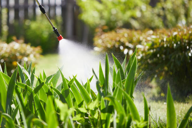 24/7 Emergency Wasp Removal experts in Ely, MN